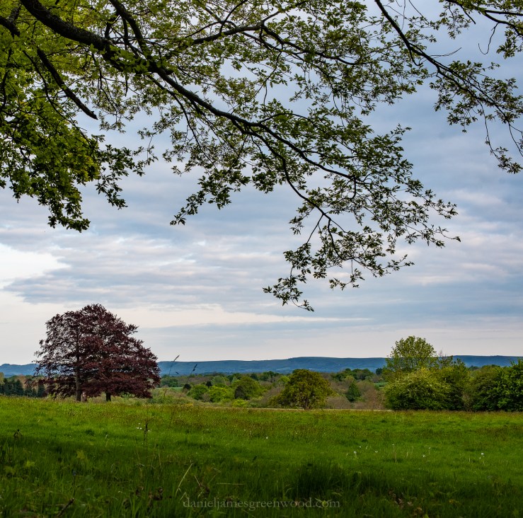 Cuckfield - 6-5-2019 jpeg-43.jpg