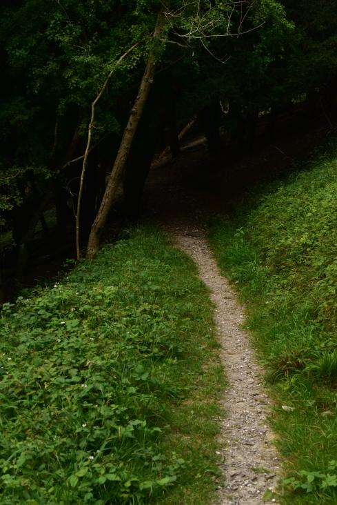 Midhurst-Singleton D750 - 8-8-2019 (99)