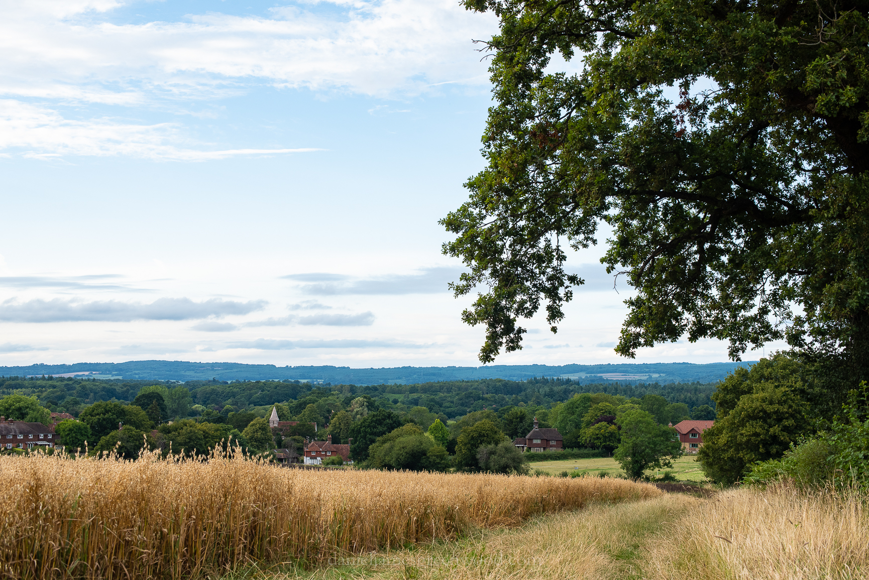 Mids-Singleton - 8-8-2019 djg-15