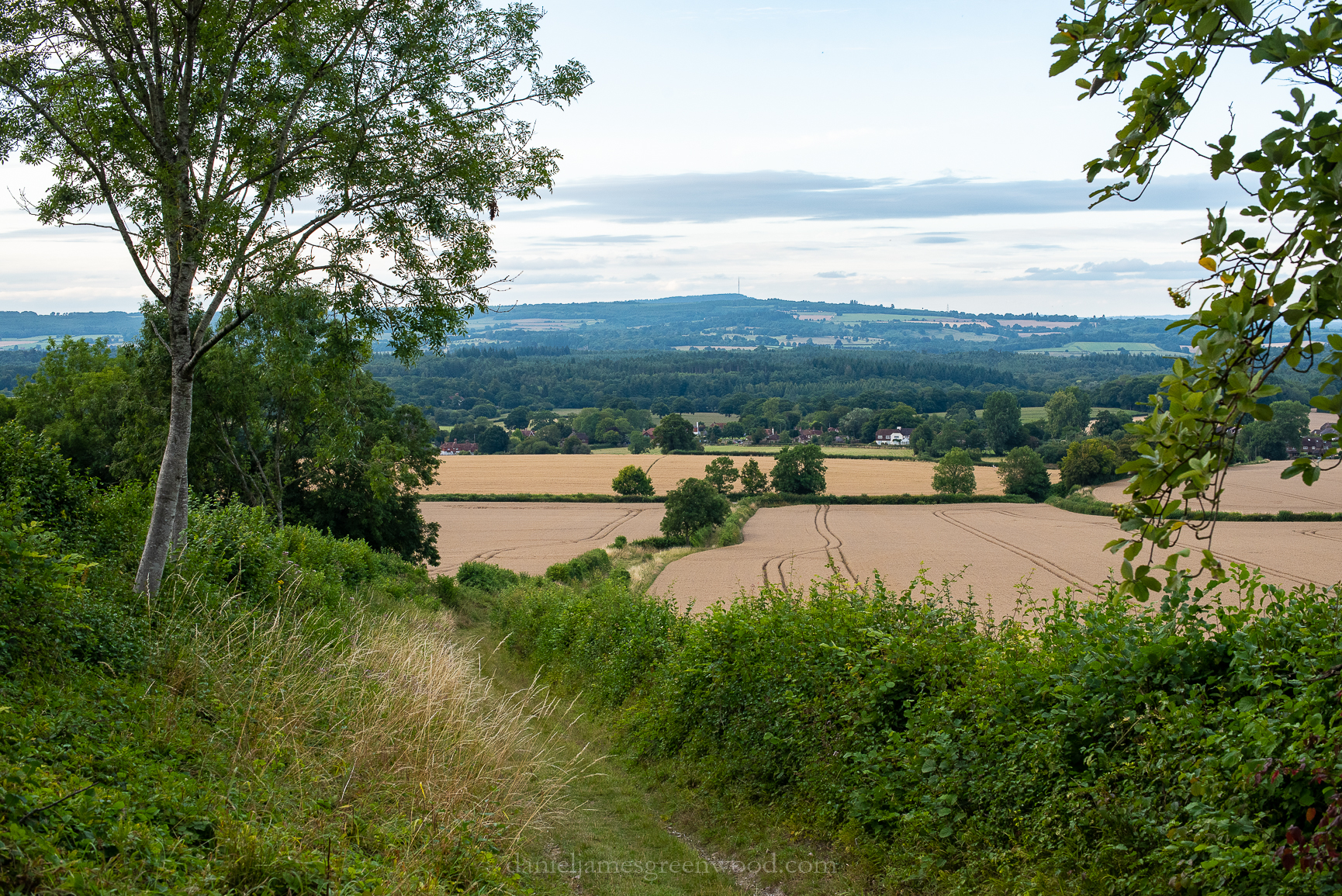 Mids-Singleton - 8-8-2019 djg-16