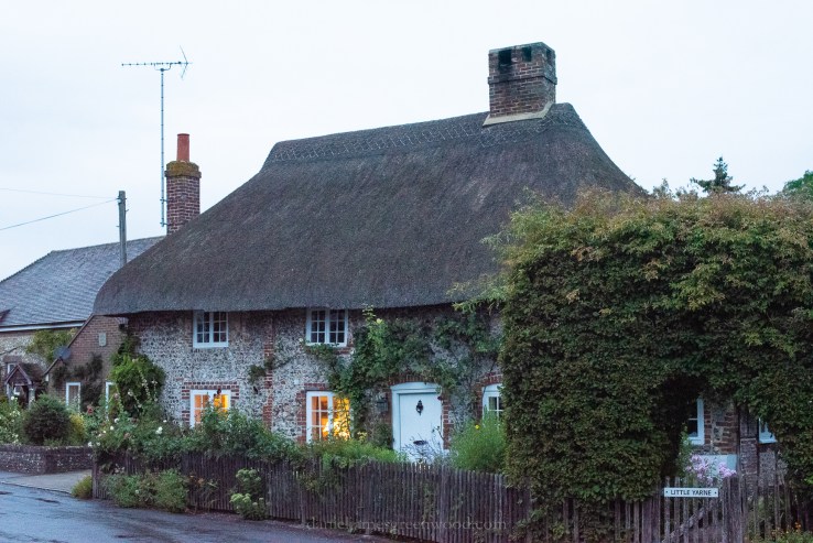 Mids-Singleton - 8-8-2019 djg-29