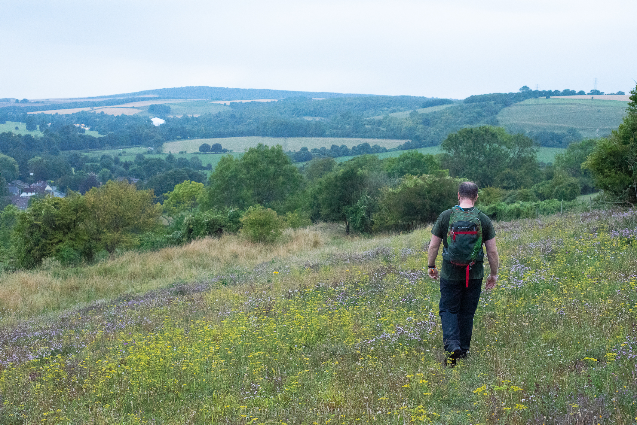 Mids-Singleton - 8-8-2019 djg-30