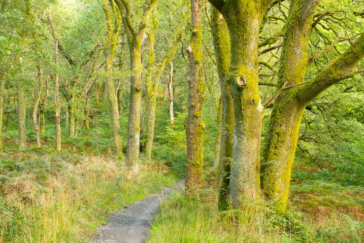 Loch Lomond - September 2019 djg lo-res-1