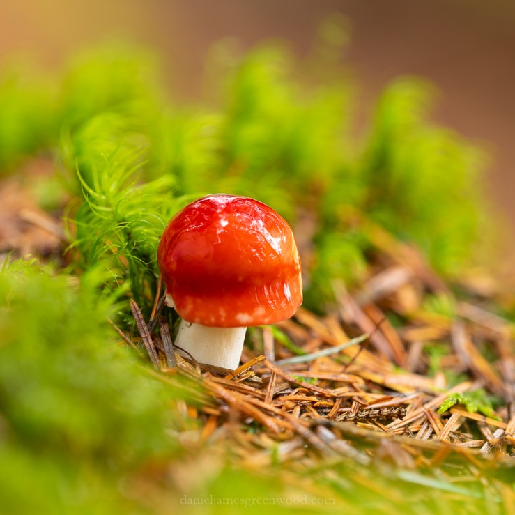 Scotland - September 2019 djg lo-res-13