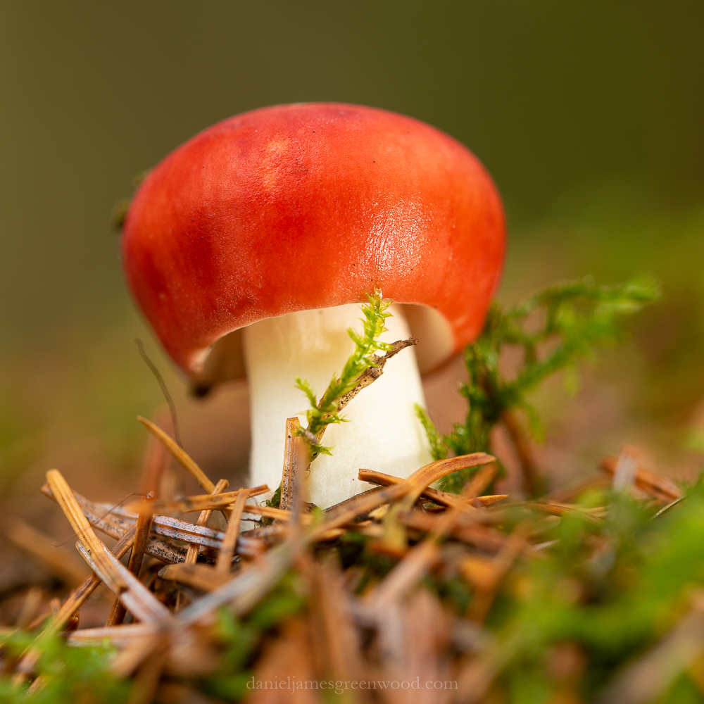 Scotland - September 2019 djg lo-res-15