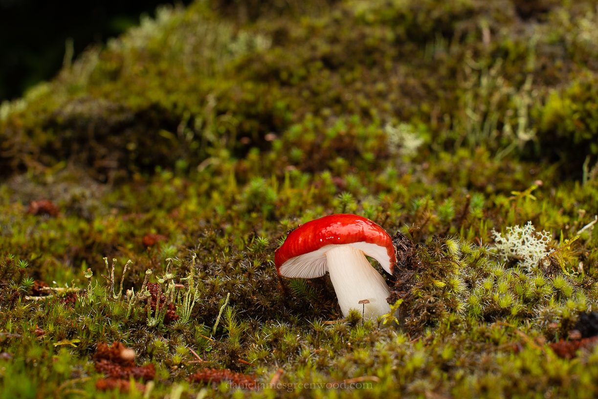 Scotland - September 2019 djg lo-res-27