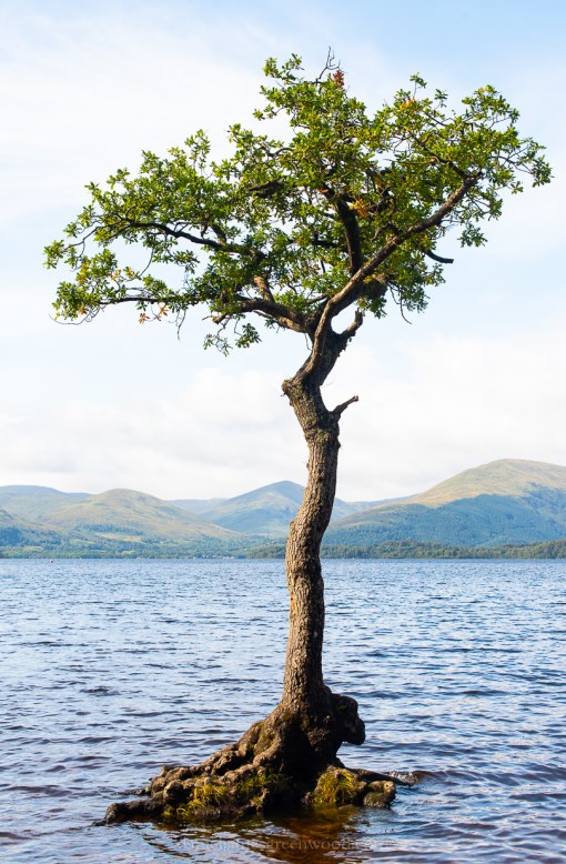 Scotland - September 2019 djg lo-res-46