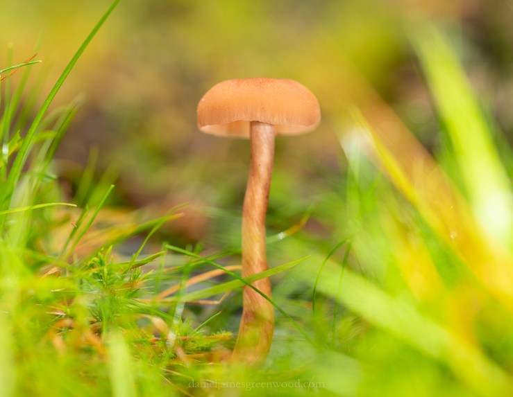 Scotland - September 2019 djg lo-res-5