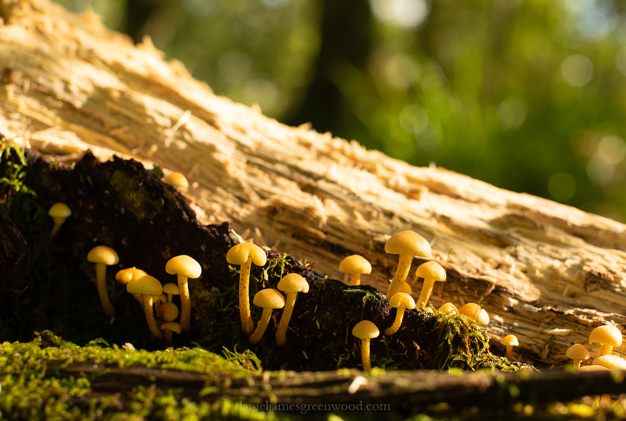 Scotland - September 2019 djg lo-res-50