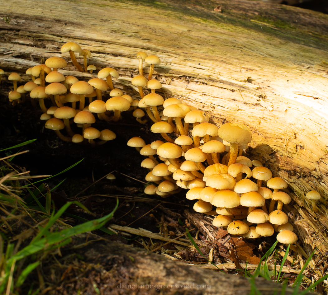 Scotland - September 2019 djg lo-res-52