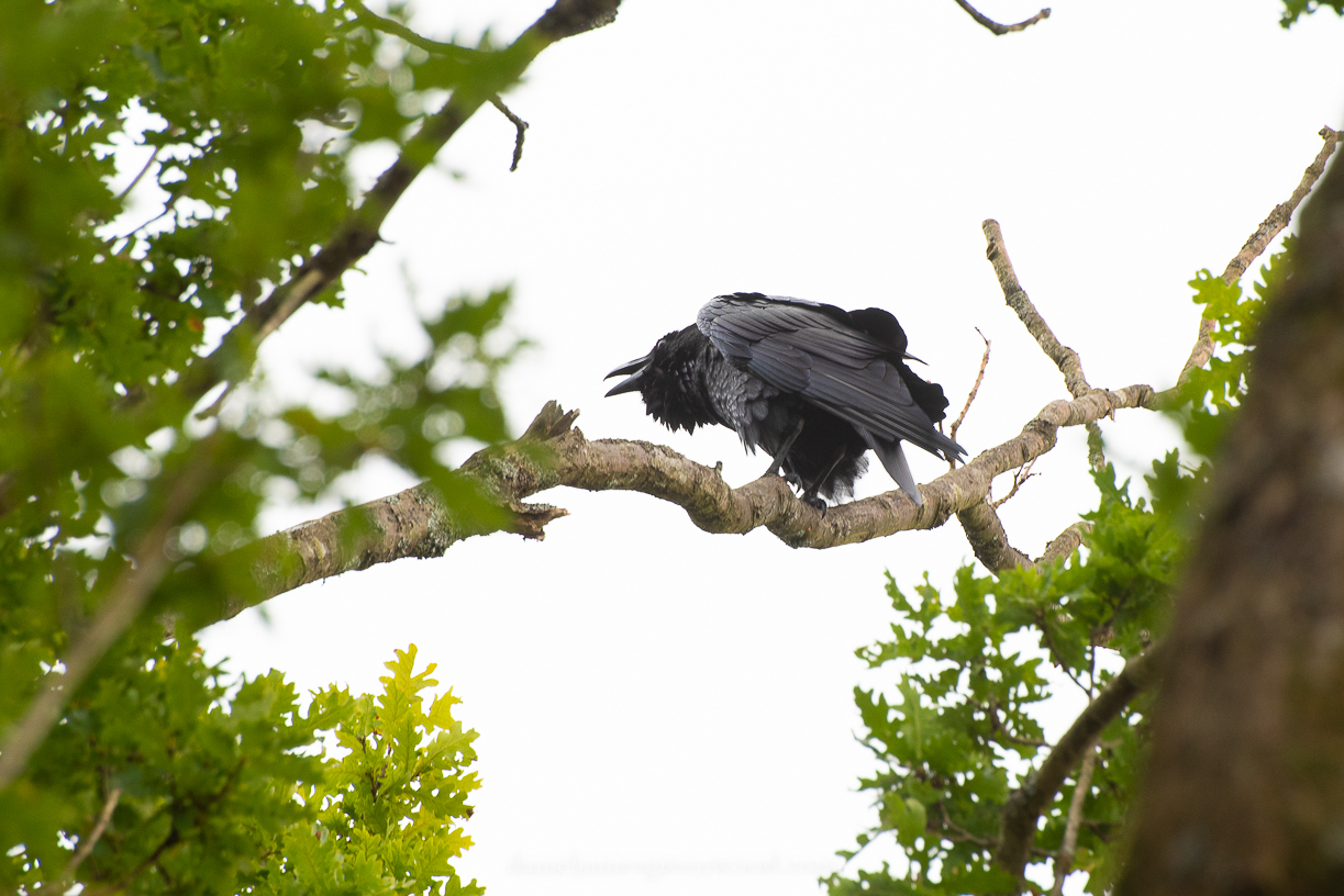 Scotland - September 2019 djg lo-res-61