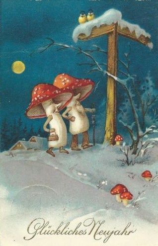 5d58176f8caa8c1e9faf25e0ab9f6bc8-picture-postcards-mushrooms