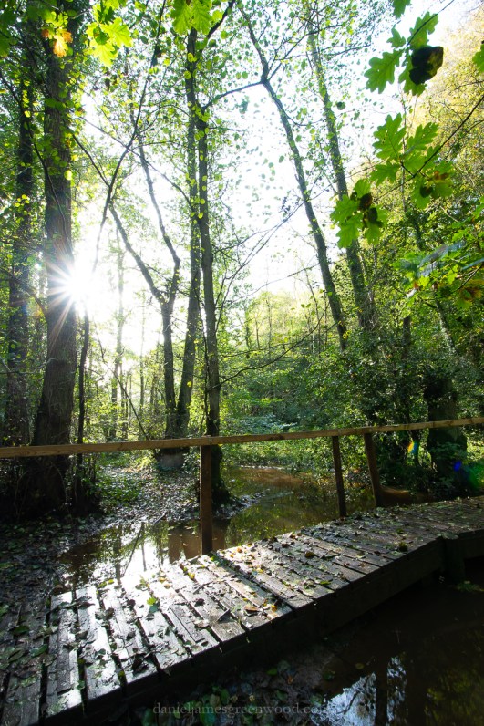 Owlbeech - 18-10-2019 lo-res-20