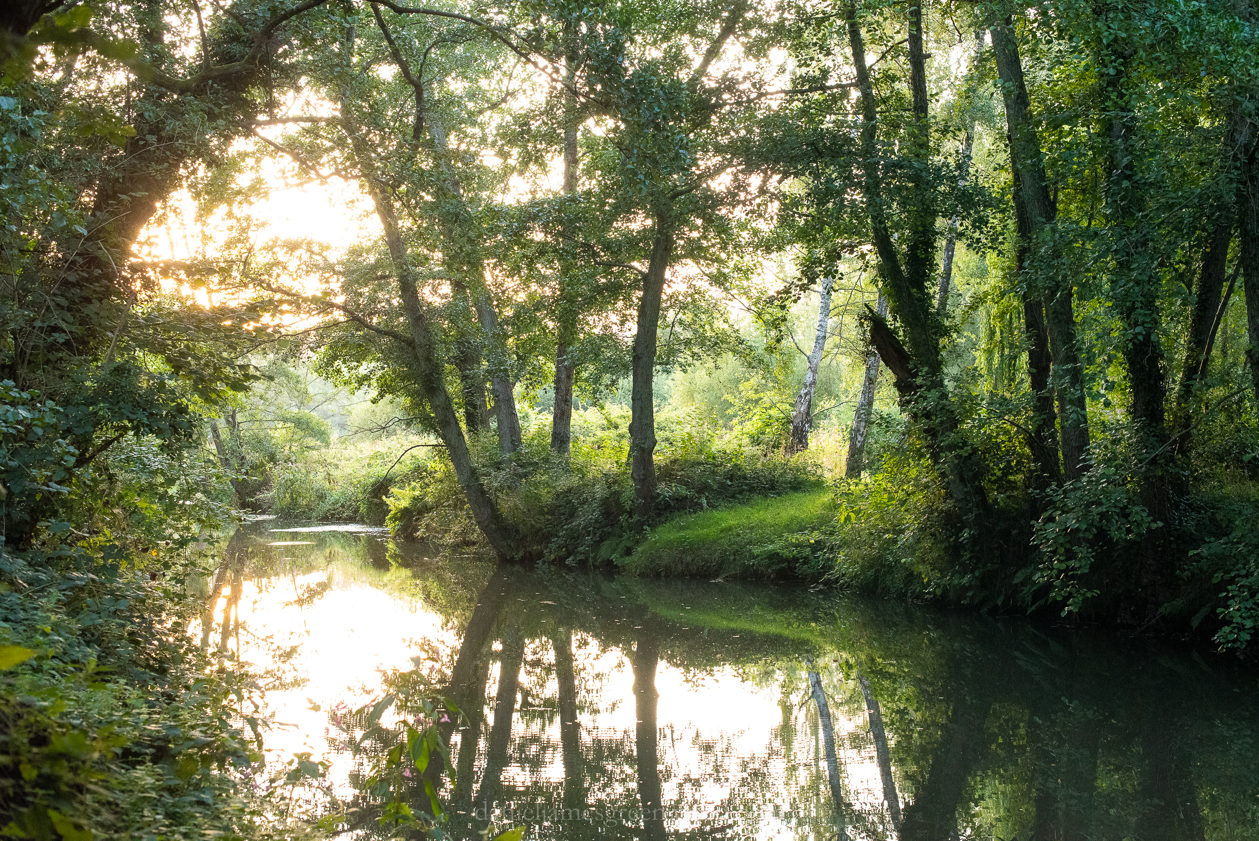 WB-MH - 29-8-2019 djg-31