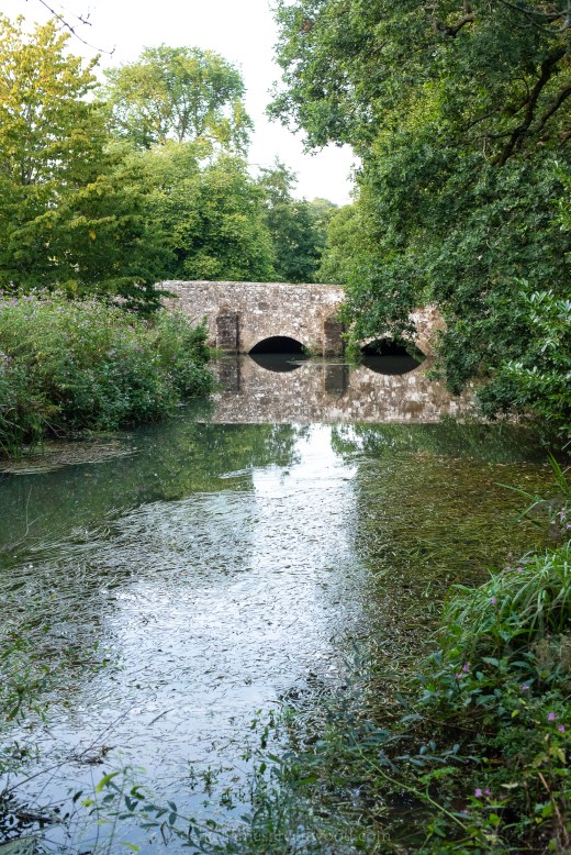 WB-MH - 29-8-2019 djg-33