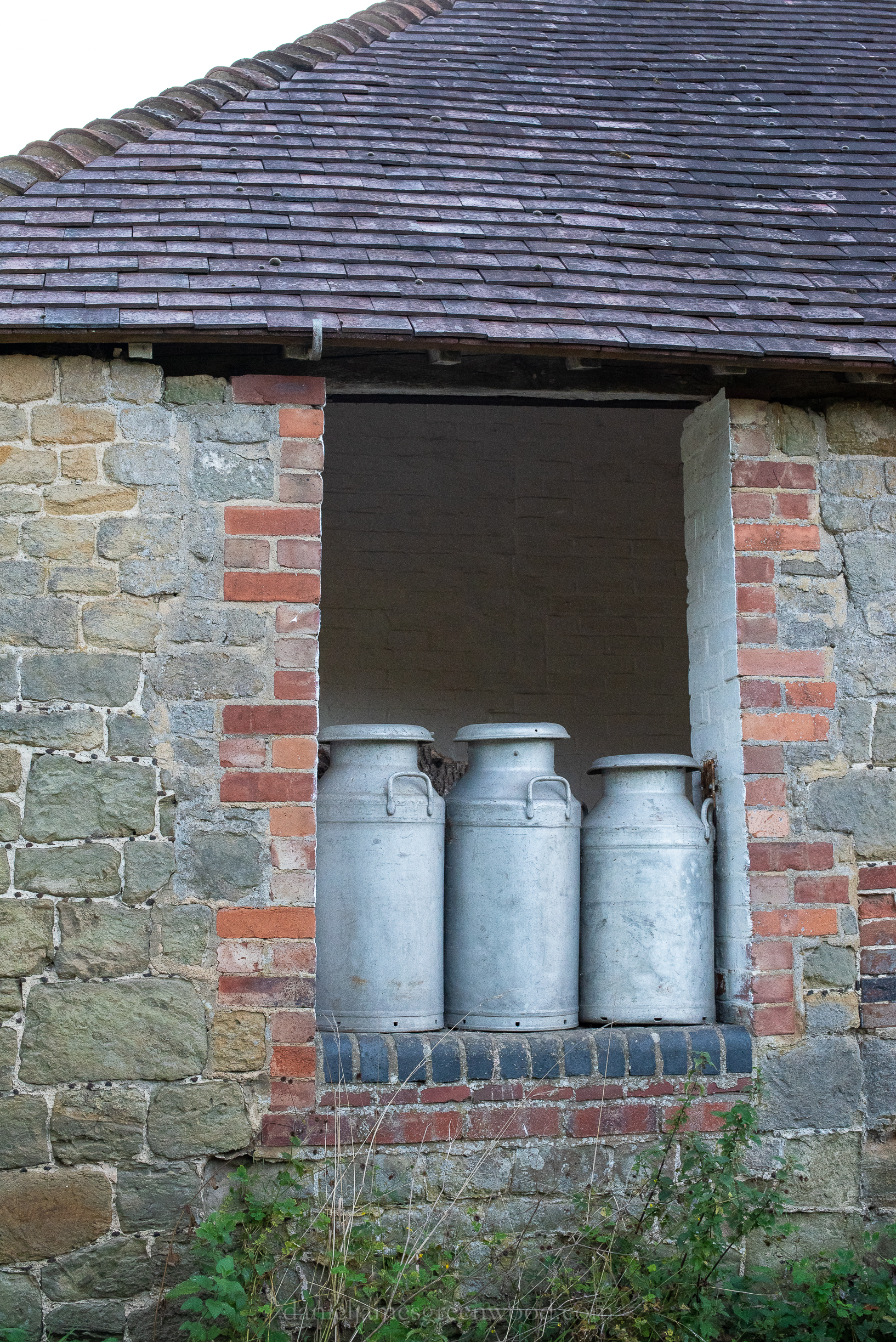 WB-MH - 29-8-2019 djg-34