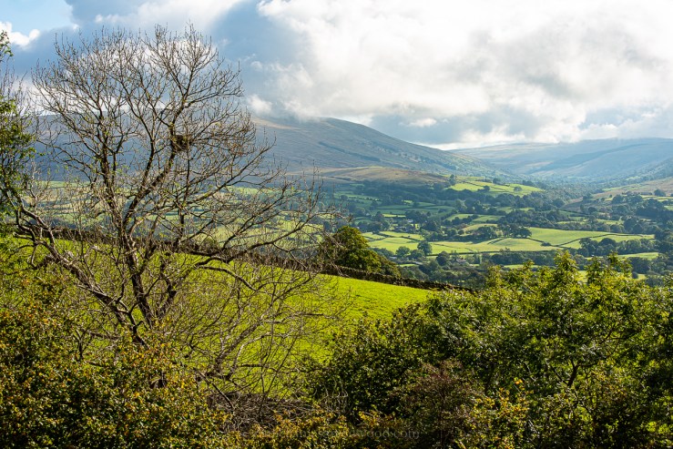 Yorkshire Dales - October 2019 blog-11-2