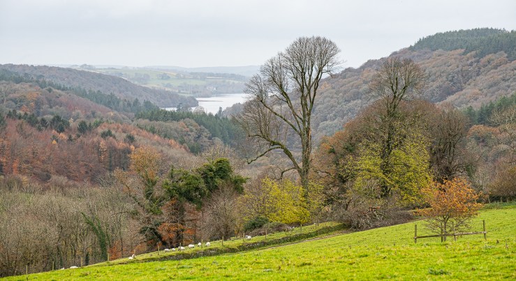 Dartmoor - November 2019 blog-10