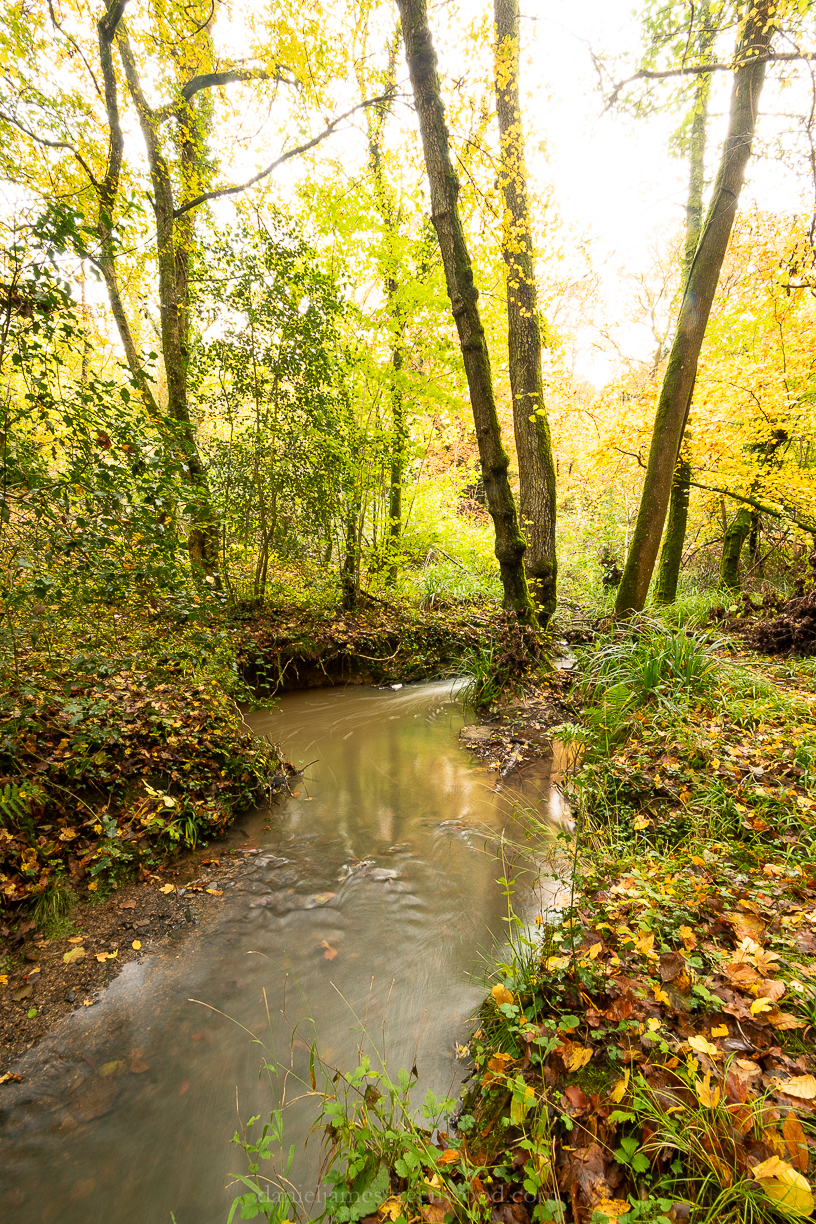 Ebernoe - 8-11-2019 blog-62