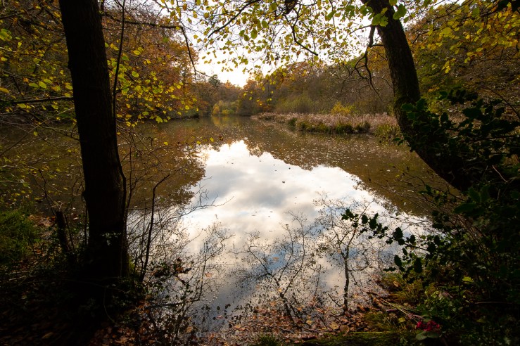 Ebernoe - 8-11-2019 blog-79