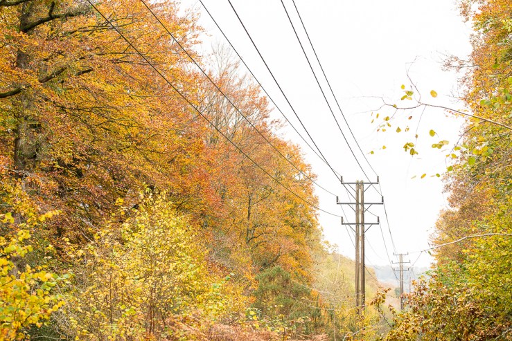 Ebernoe - 8-11-2019 blog-91