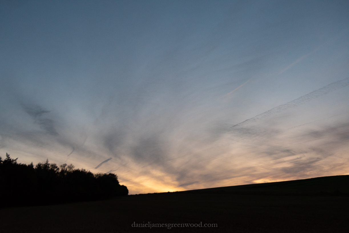 Kingley Vale - 27-10-2019 blog-42