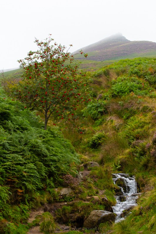 Peak District - 2019 blog-1