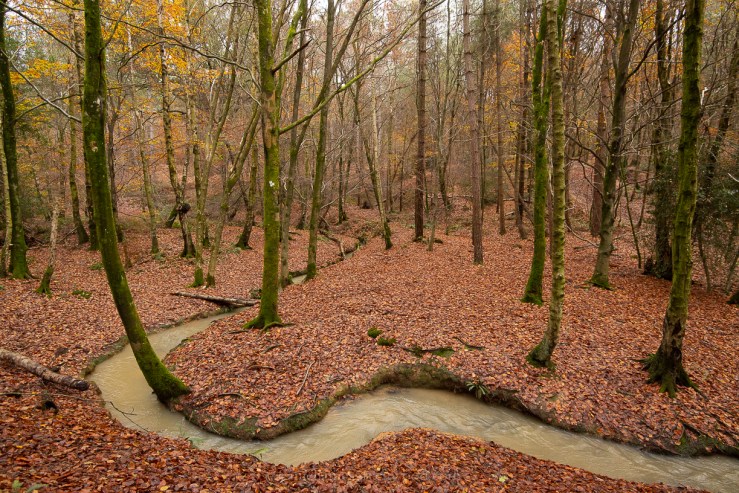 SLF - 17-11-19 blog-26.jpg