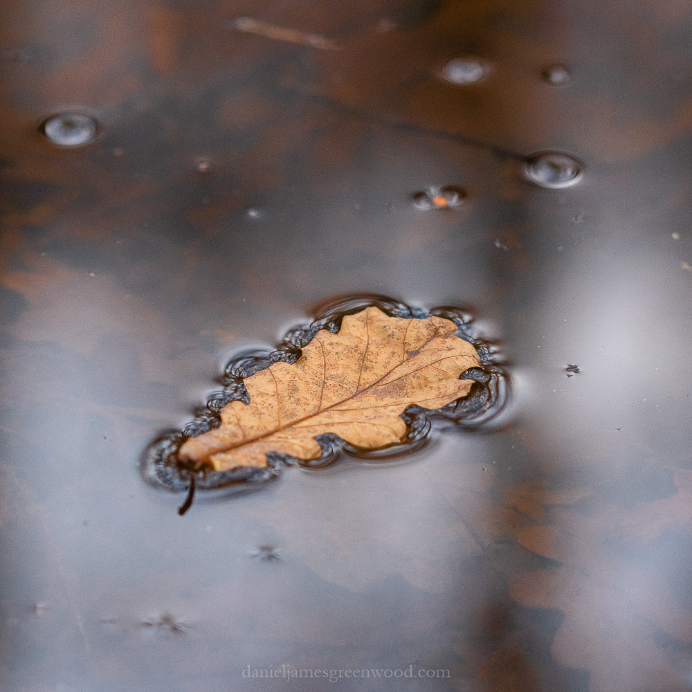 SLF - 30-11-2019 blog-6