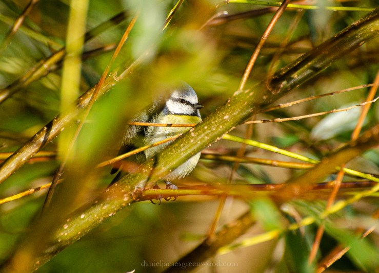 Warnham - 27-10-2019 blog-13