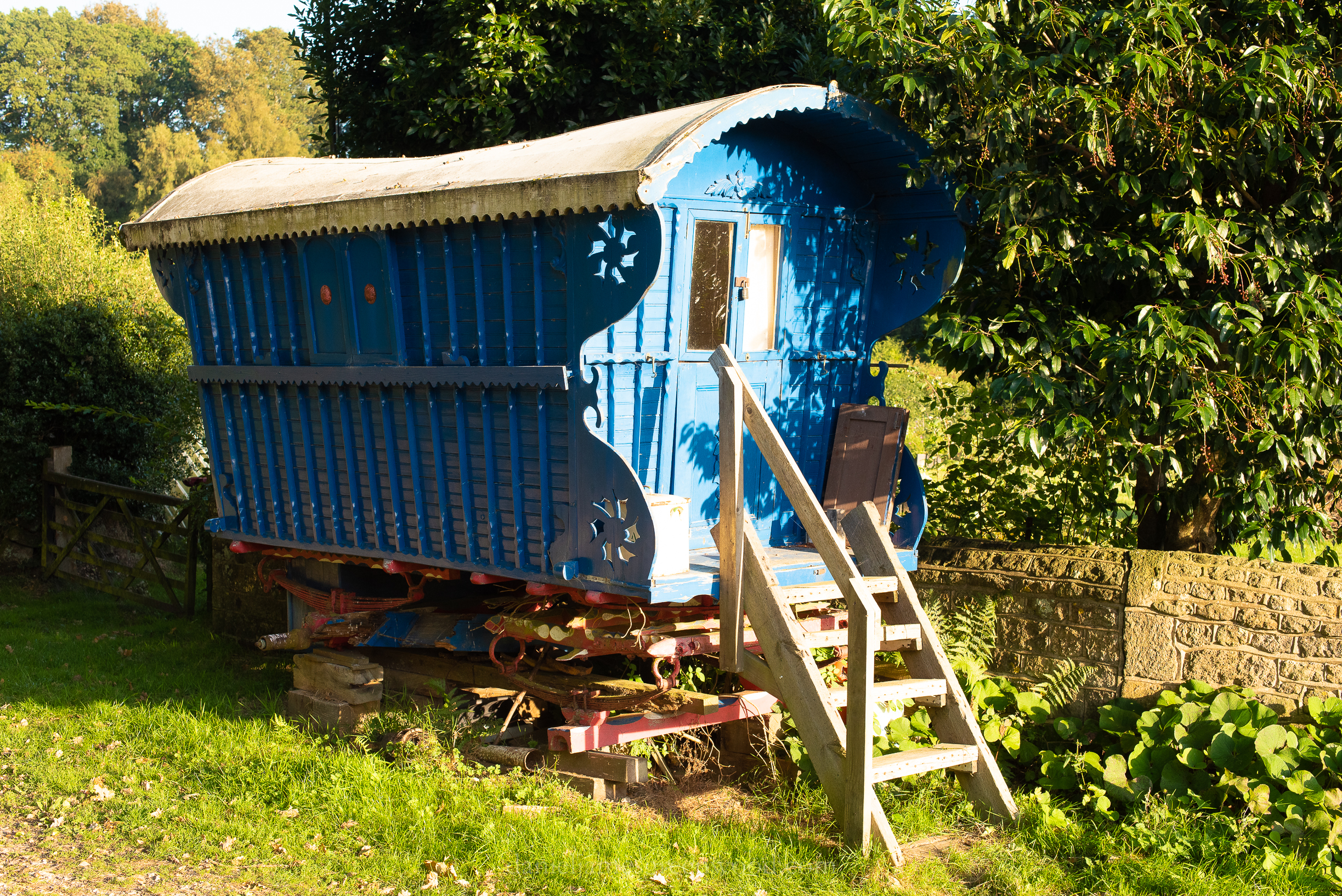 WB-MH - 29-8-2019 djg-18