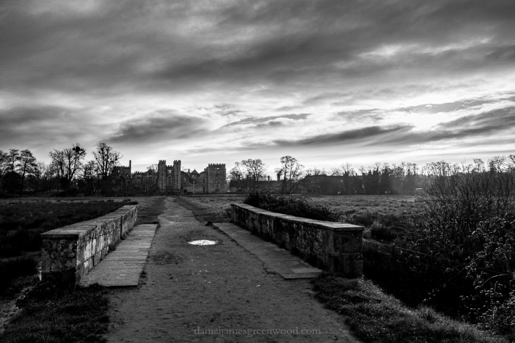 Cowdray - 3-12-2019 blog-2