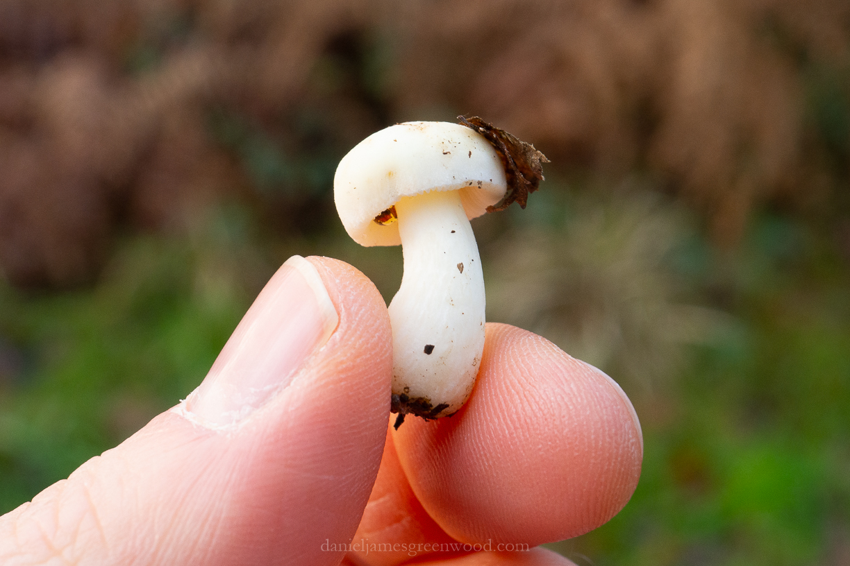 SLF - 14-12-2019 blog-23