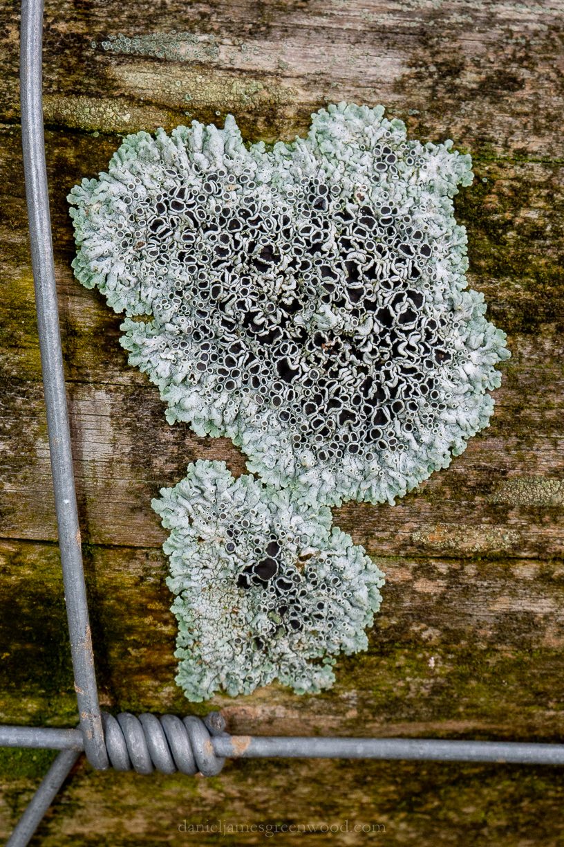 Midhurst - 15-1-2019 blog-15