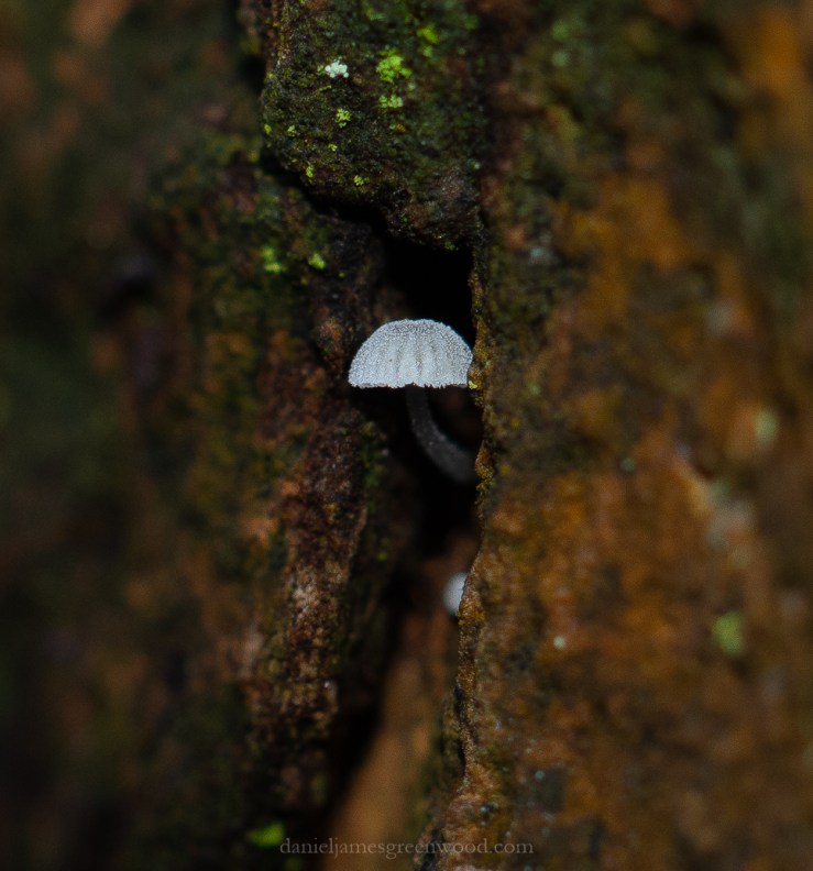 OTH 25-12-2019 blog-4