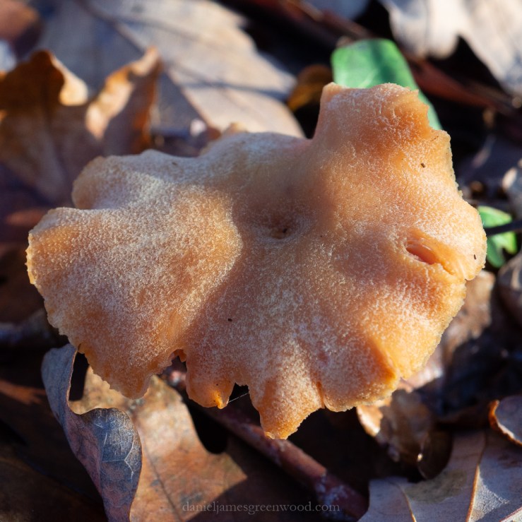 OTH 25-12-2019 blog-8.jpg