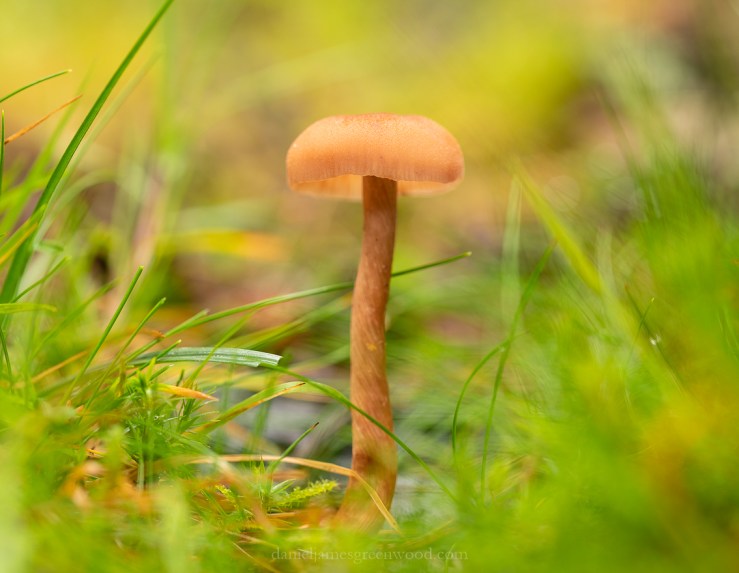 Scotland - September 2019 djg lo-res-2