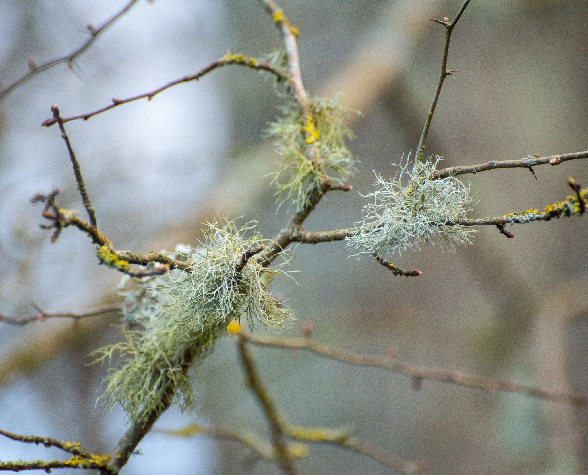 Chesworth_29-2-2020_LR_lo-res-08