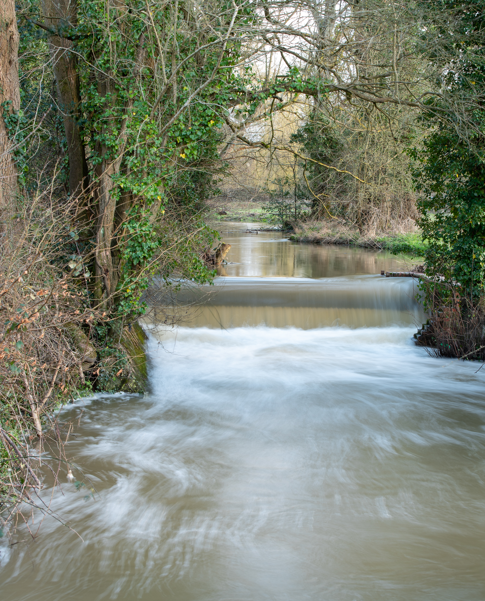 Chesworth_29-2-2020_LR_lo-res-11