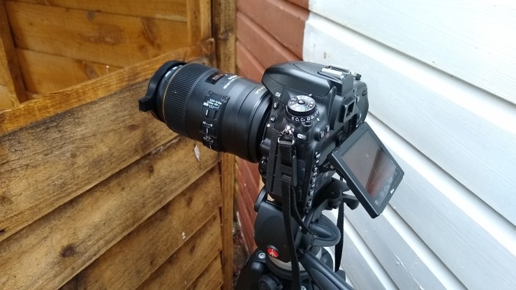 IMG_20200202_153123730