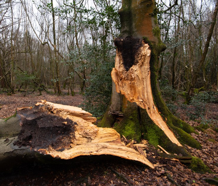 SLF_LRCC_14-2-2020-03