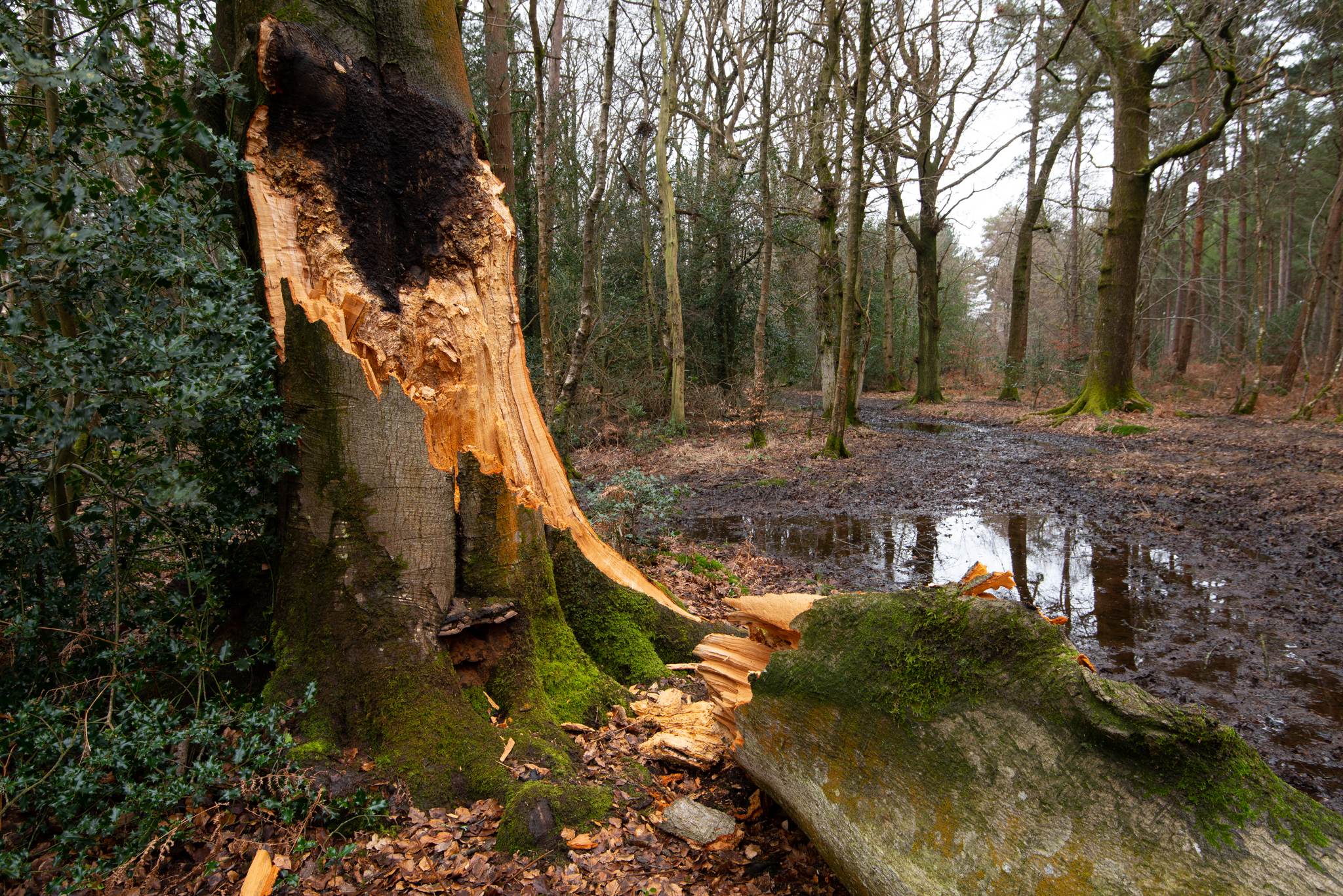 SLF_LRCC_14-2-2020-04