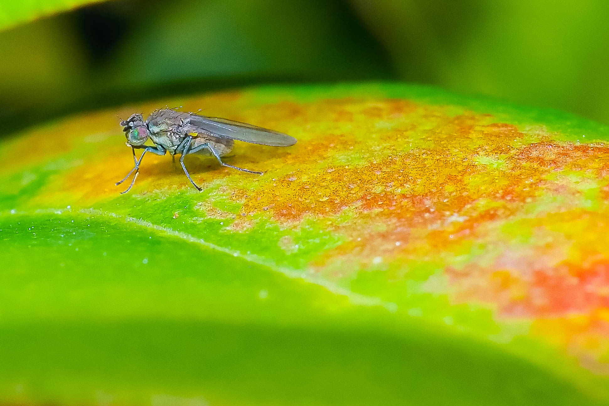 Garden_18-3-2020_lo-res-1