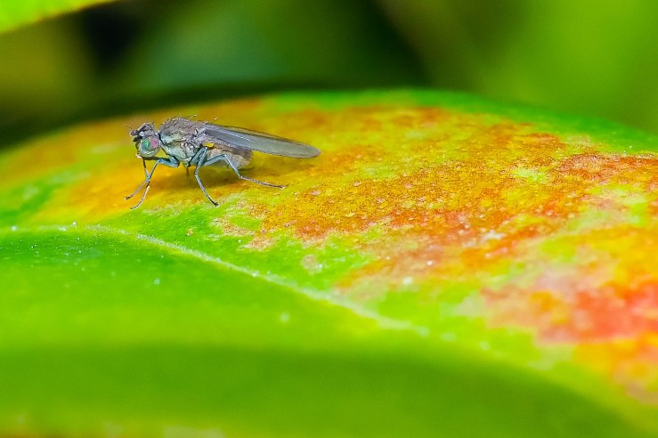 Garden_18-3-2020_lo-res-1