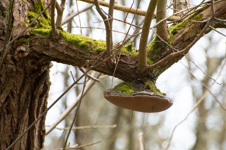 Warnhqm_8-3-2020_LRCC-01