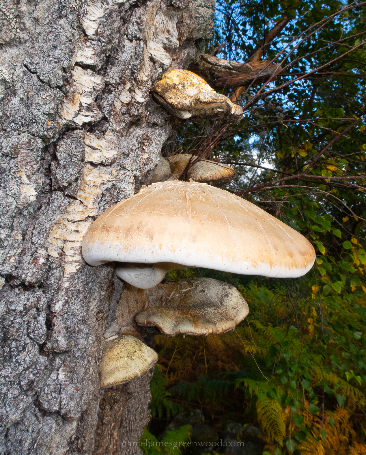 BenVrackie_Sept2018-9