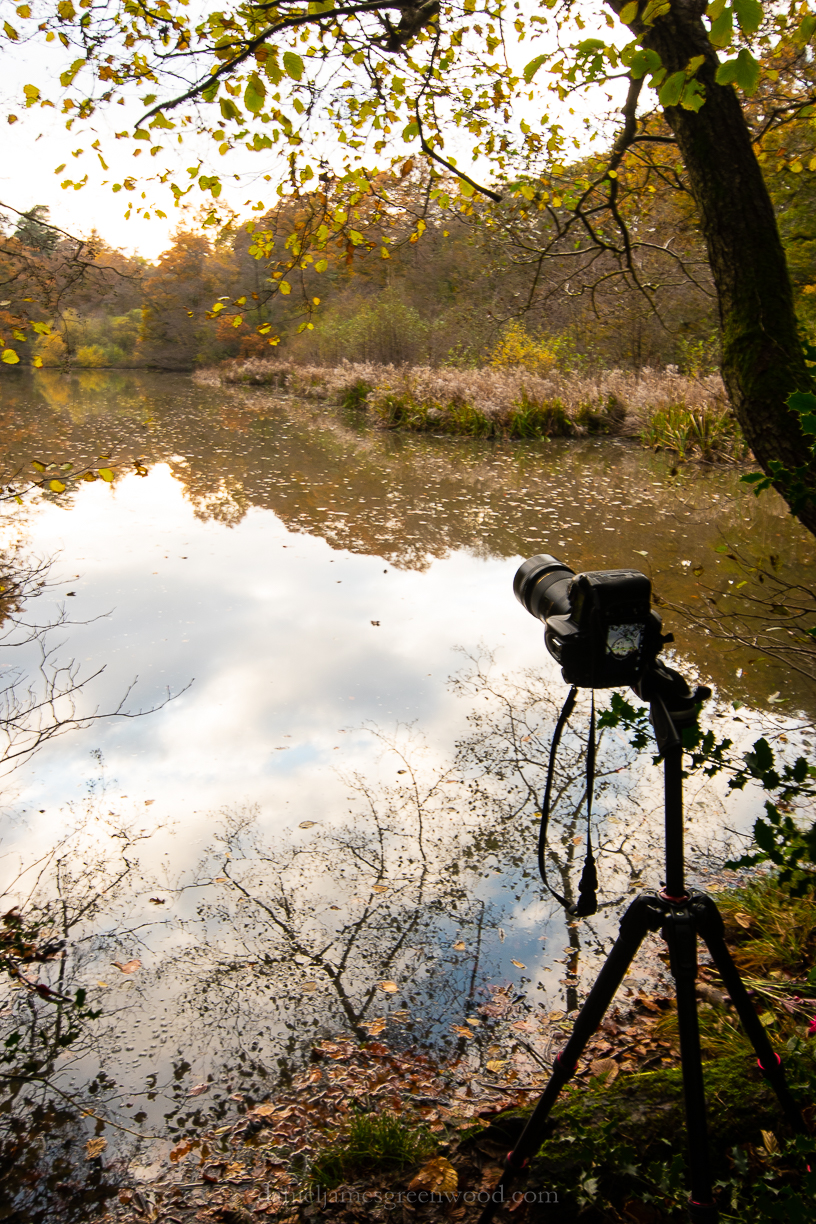 Ebernoe - 8-11-2019 blog-77