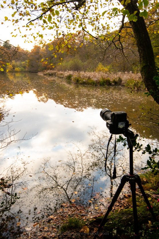 Ebernoe - 8-11-2019 blog-77