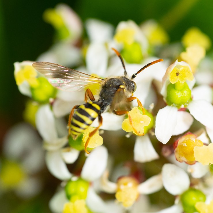 Garden-10-4-2020-hi-res-03