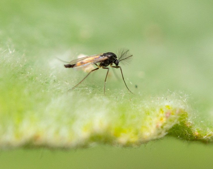 Garden_5+6-4-2020-lo-res-07